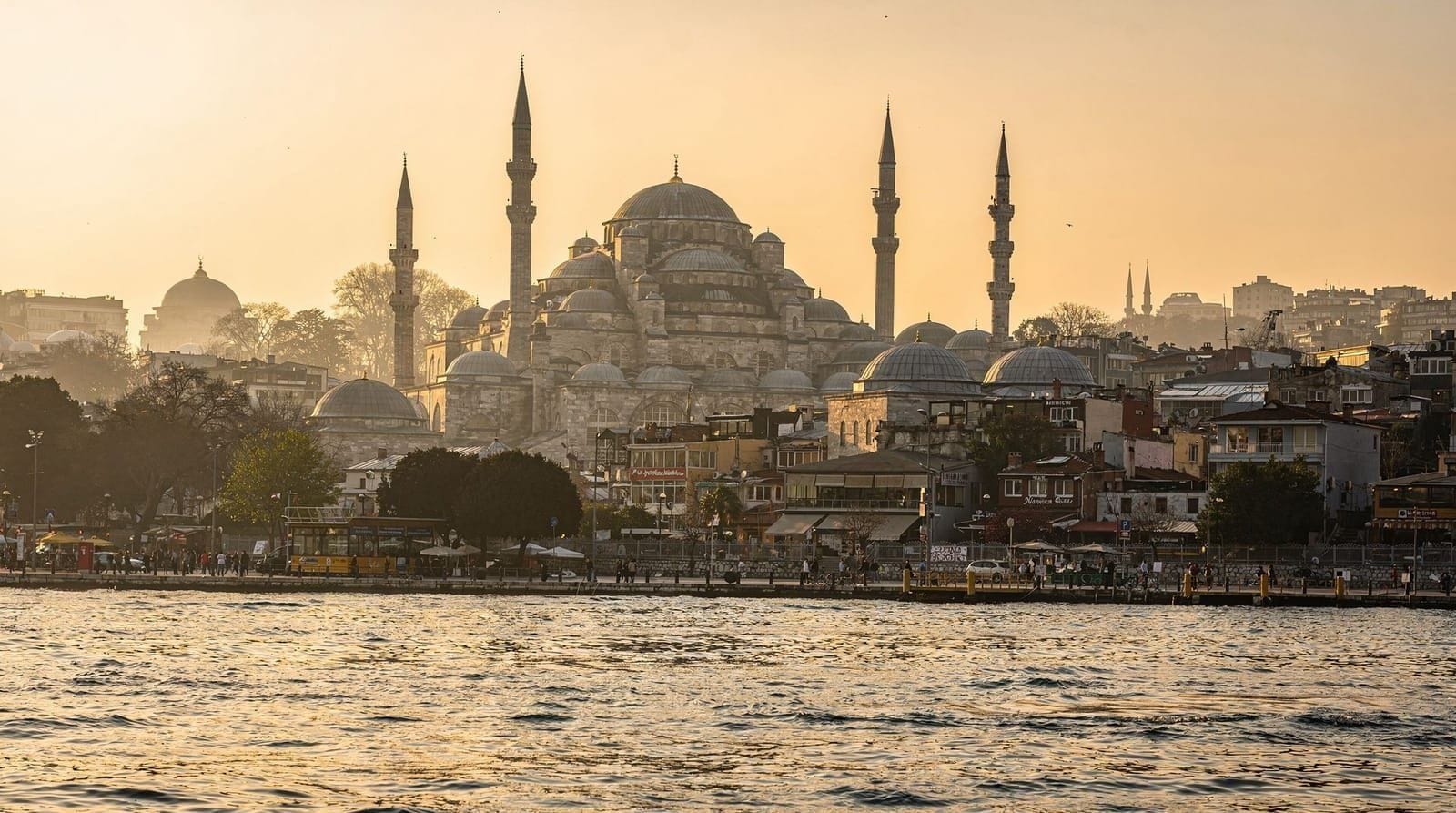 Spring tulips in Istanbul: the Tulip Festival guide — Istanbul's April Tulip Festival fills parks with millions of flowers. When to go