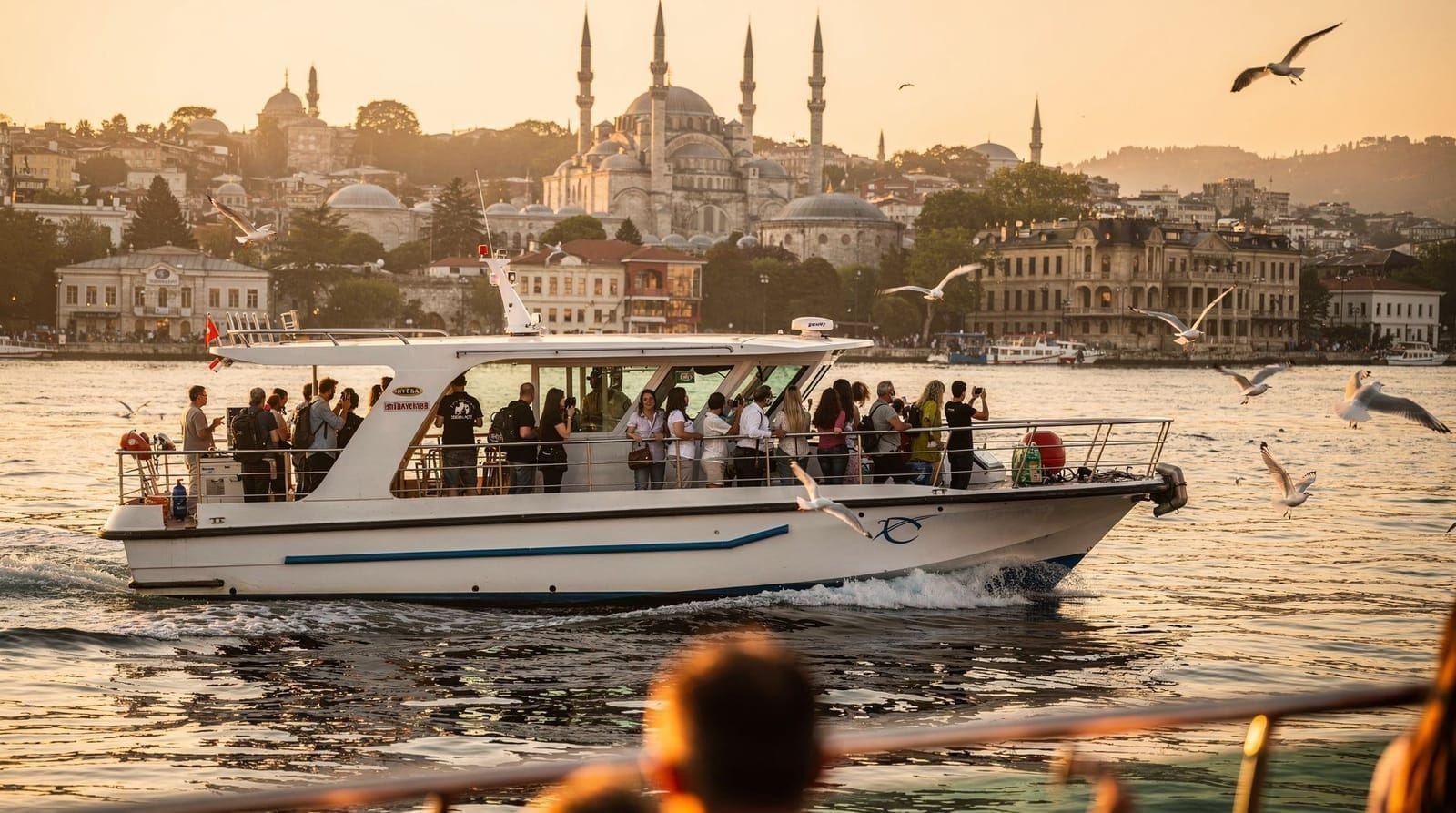 Which Bosphorus cruise is best for you? — Daytime sightseeing, sunset, dinner show, or private yacht — a practical compari