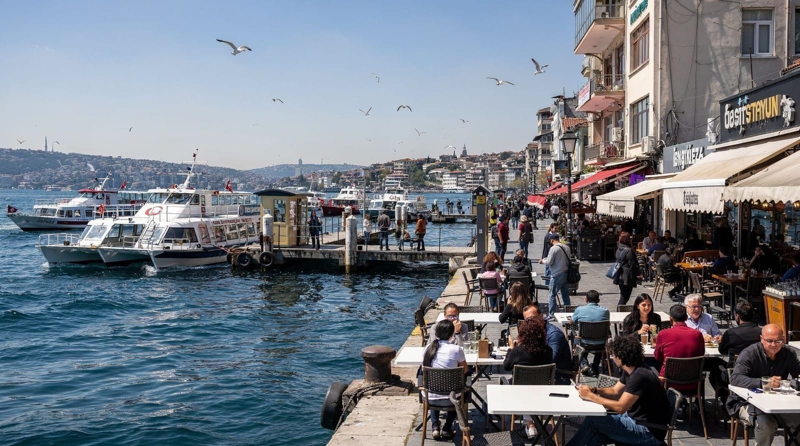 Beşiktaş, Istanbul and Turkey