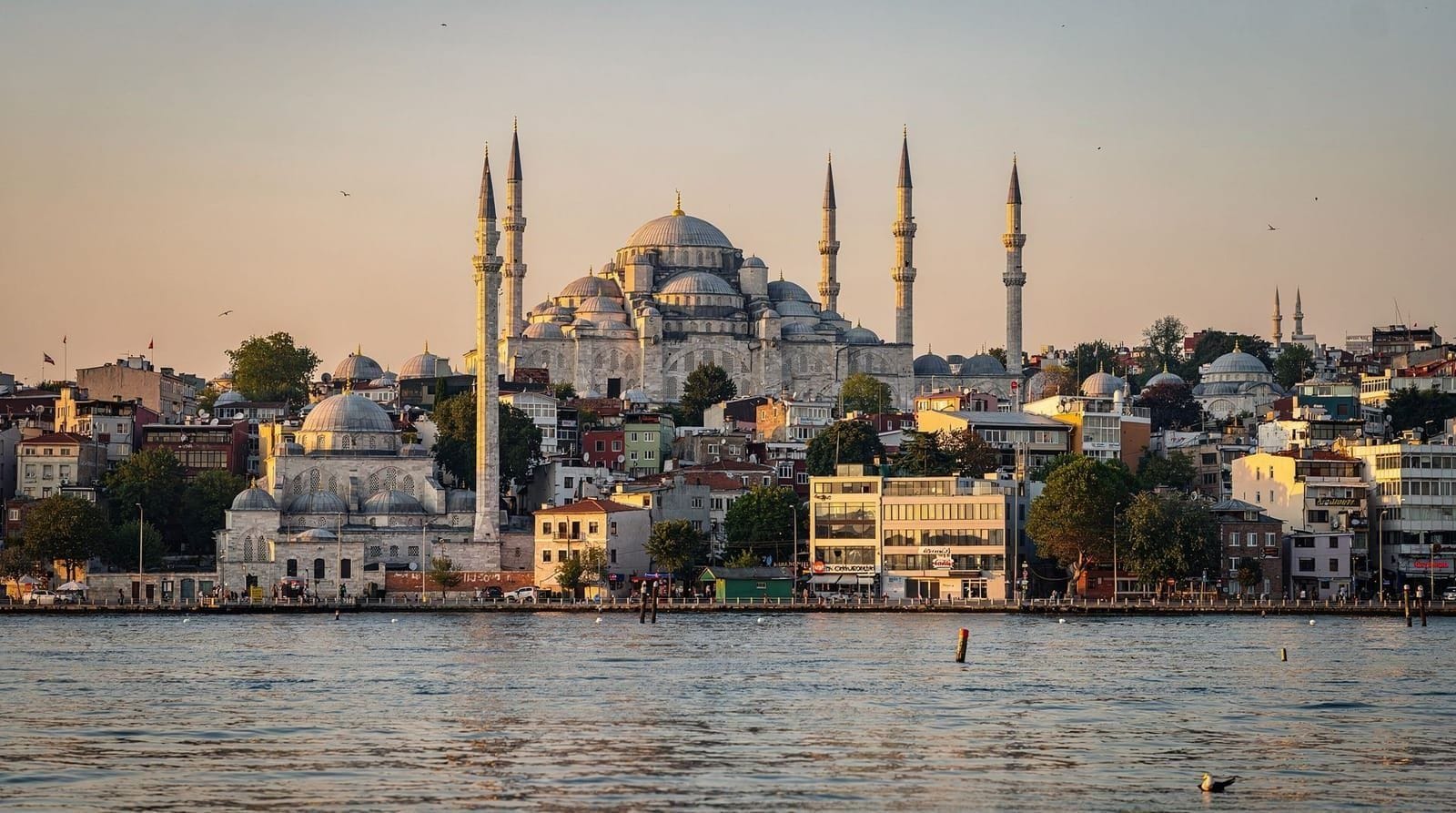 Istanbul: Bosphorus Morning Cruise with Breakfast