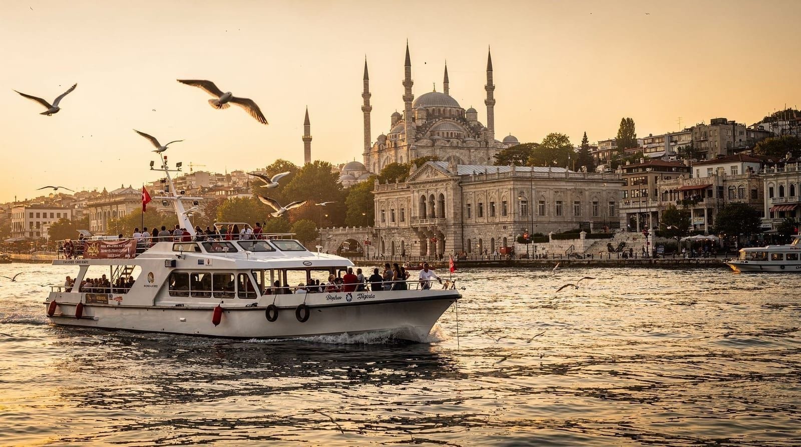 Istanbul: Bosphorus Sightseeing Cruise with Sunset Option