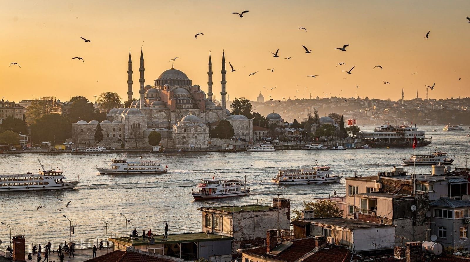 Istanbul skyline — the historic peninsula with mosque domes and minarets above the Bosphorus