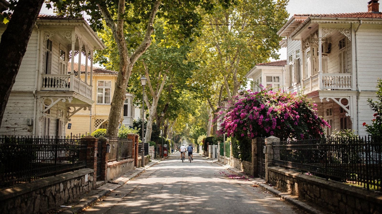 Istanbul: Princes Islands Tour with Heybeliada and Buyukada
